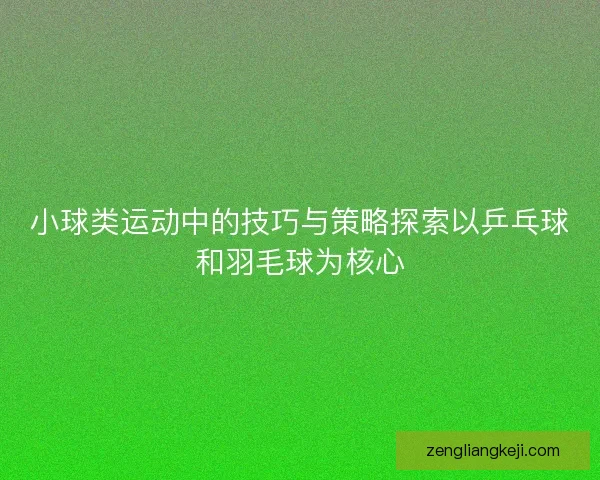 小球类运动中的技巧与策略探索以乒乓球和羽毛球为核心 小球类运动中的技巧与策略探索以乒乓球和羽毛球为核心